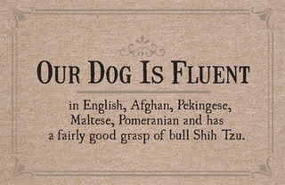 What Does It Mean to Be Fluent in a Language? Fluency Levels Don’t Really Exist